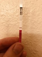 3CF97505-1784-43DA-AD8C-7ABC11EB9BDF.jpeg