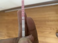 D3AB761B-D617-4F80-B10B-92226ECF57D1.jpeg