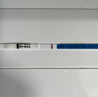 6DDFA487-C32D-4060-8682-3BF351B4C91D.jpeg