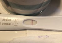 AF485C31-5E19-41BF-ACC4-0C50B1848FDA.jpeg