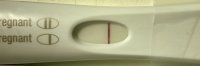 B9EF800E-F55D-4EB8-9C8A-906072704FAC.jpeg