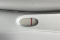 8215C0A0-F8BD-4226-BF10-DEB35A3391E0.jpeg