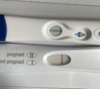 6C77420D-2E49-4CA9-B5E7-F8ADC21E3E74.jpeg