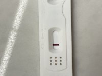 EEEF7308-DFC3-4C31-BAF4-908B5B8F8127.jpeg