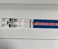 40EF16B4-CEA2-496D-9CAC-25E50BC94FDE.jpeg