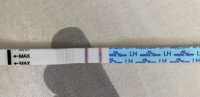 ED614F57-FB60-4A23-98EB-0F30D239D6C4.jpeg