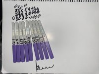 7BC77B16-3610-45DA-91E1-A2F295052D88.jpeg