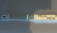 NegativeImage_03b4af32-4e58-4b8b-89bf-49e6c967fbac.png