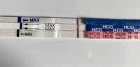 A9A9F1A2-3D08-4919-B413-948C5FDA8C78.jpeg