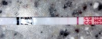 20210723_110811.jpg