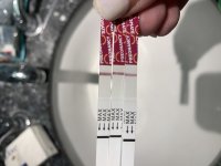 5E3F799C-B05D-48EE-805E-9BE9979D5F00.jpeg