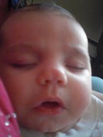 7 weeks 027.jpg