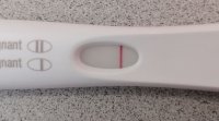 9DPO.JPG
