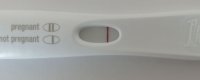 10dpofrer.JPG