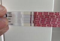 560BCE7B-D278-4F2F-B920-BA871D67914E.jpeg