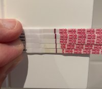 0F7F6355-1ED9-4CAE-9E45-4934DFDDA601.jpeg