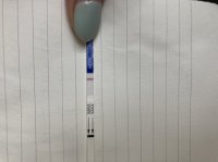 C3B28FB5-1A06-4AA2-828D-A34CEC6AD612.jpeg