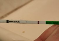 20210813_174142.jpg