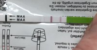 A8D192AC-0DCB-4809-86E3-EC86A74CB8E3.jpeg