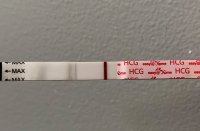 F59ADC31-C0AD-42DB-B966-ABCEFF7625A2.jpeg