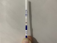 03D645D2-D21C-4985-9D5E-89C062D2EA9C.jpeg