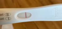 ED191C97-8E90-4D22-A397-3A509A01A0AD.jpeg