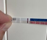 0205705C-E5FA-4802-90FC-75948E329C34.jpeg