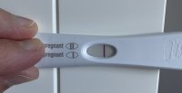 5E963985-E0CC-410E-8C3B-728D021E72D6.jpeg