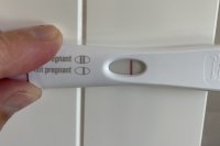 B20B82BC-AD1D-4FED-A00F-045C41D84FEC.jpeg