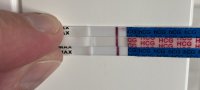 4952E841-6CCB-4423-BCA4-0849AA8641F8.jpeg