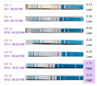 Screenshot_20210913-105941_Premom.jpg
