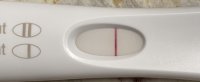 66ACFCC2-2078-4568-B567-2A29136B0996.jpeg