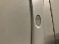 B80A3C99-BF62-4742-933C-927465694E0A.jpeg
