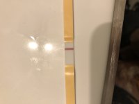 D2DDF809-B45C-4E62-A2C4-FA87AE79CFCE.jpeg