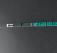 C2610CA8-3D78-4A0C-9041-006BB48D80ED.jpeg