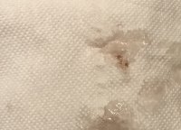 2E16AF48-D31F-4730-97D4-68145FA01D81.jpeg