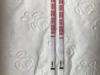 3CA31664-CAFB-4D79-BC83-66077D5AC34C.jpeg