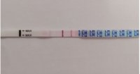 cd14.JPG