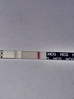 1637173129477.jpg