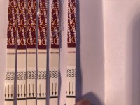 8362BB26-DBCD-414C-B41D-9C5AE130307E.jpeg