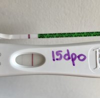 06D6D084-1203-4232-80A1-778FE94C9D17.jpeg