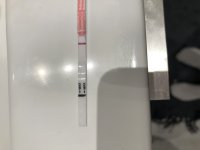 5F9FB60E-FE85-4623-AD24-C7A512E571D7.jpeg