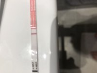 B5397154-AE68-443D-B060-4962873CEBD3.jpeg