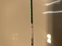 A037BDDF-2FA4-4527-882A-FF95319AFBF2.jpeg
