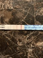 OPK.jpg