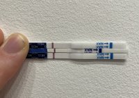 D2D63772-A1B4-4D5B-AC5E-3683F64B3178.jpeg