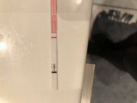 200A5117-3F66-47AA-B678-5A621D55BF1B.jpeg