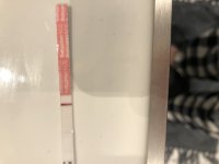 07A03144-1B4C-41A8-91DE-68ABFE7C9244.jpeg
