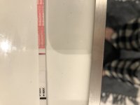 4EBD6461-CAB7-4AD5-A9D8-B37C2AAB2714.jpeg