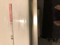 11E1FA50-A3E5-442A-909E-2B37701701C4.jpeg